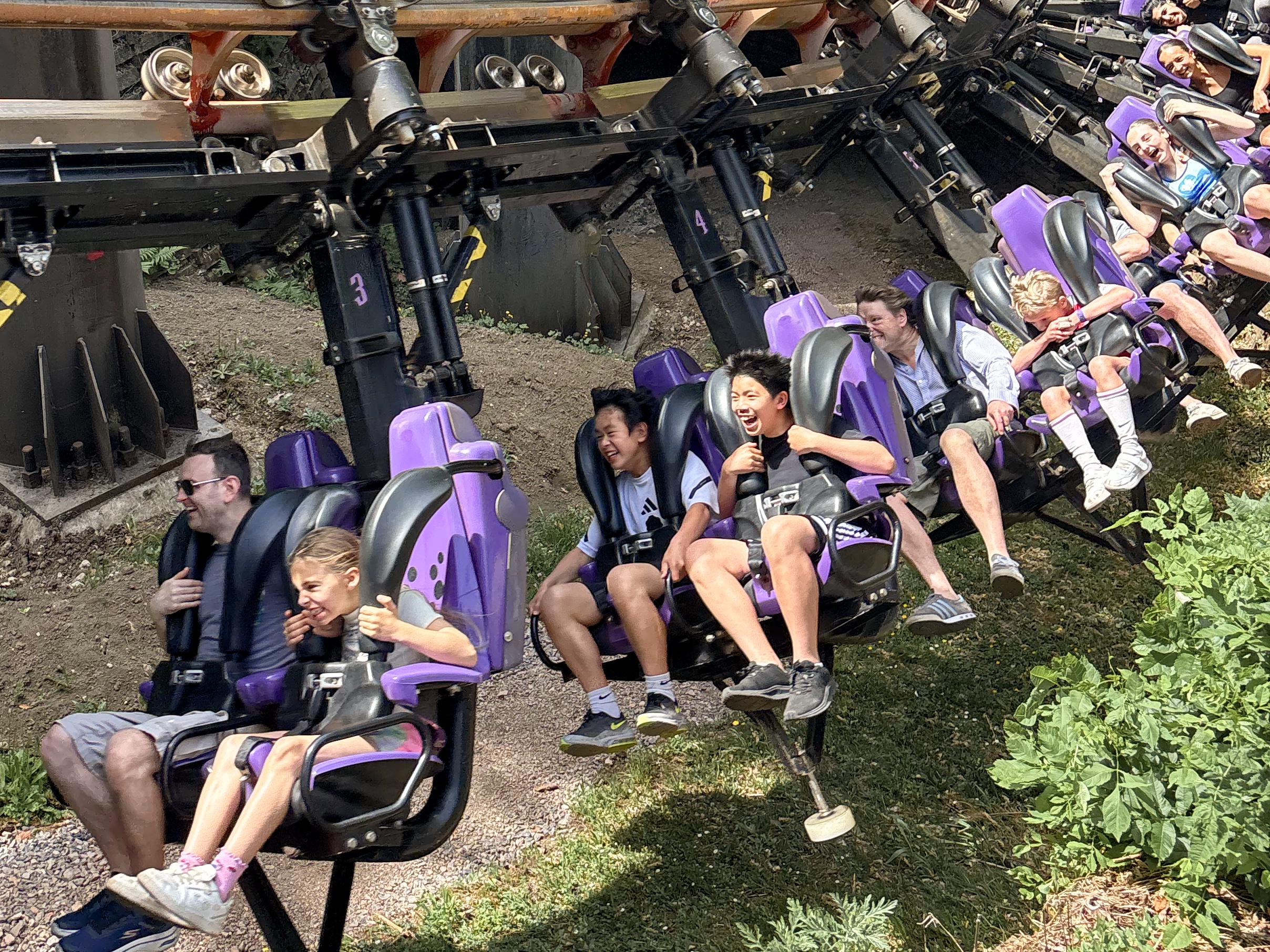 Vampire at Chessington World of Adventures